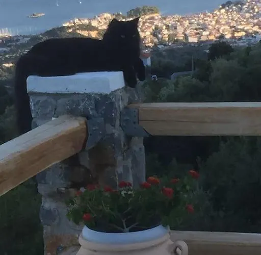 Βίλα Erifili Moni Evaggelistrias